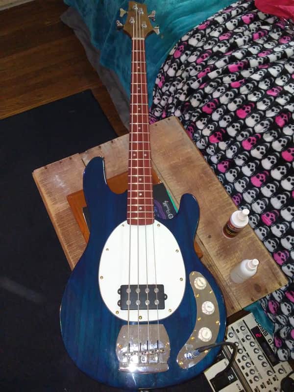 Jay Turser JTB 440 Stingray Bass with custom Fender Walnut/Padauk