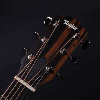 Taylor 210ce Walnut Acoustic-Electric Guitar 325 image 3