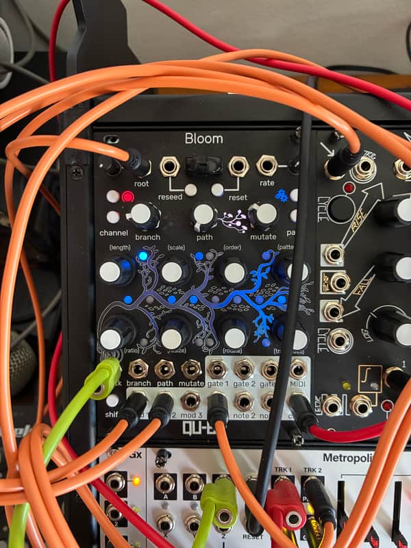 Qu-Bit Electronix Bloom V2 image 1