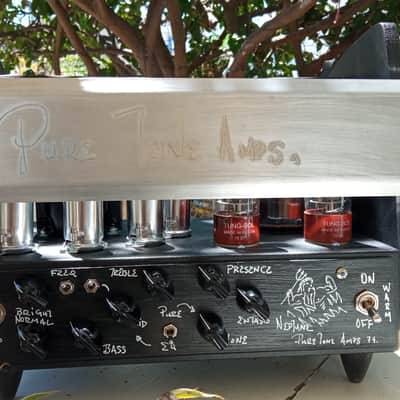 Pure Tone Amps the NEPTUNE S/N 74 2021 image 2