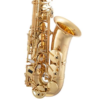 Selmer SAS411 Step-up Alto Saxophone - Lacquered image 2