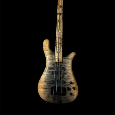 SPECTOR NS 2 - USA 2021 - 4 STRINGS image 8