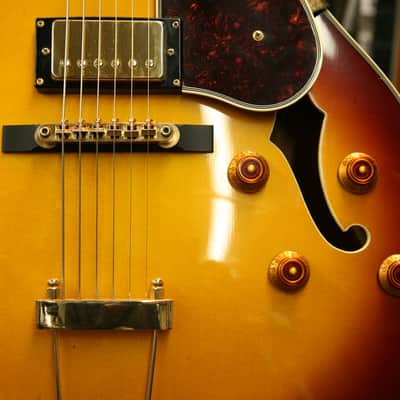 Aria Pro II FA-70 Jazz Hollowbody Archtop in 3 Color Sunburst image 9