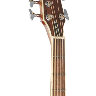 ESP LTD TL-5 Thinline 5-String Acoustic Electric Bass Guitar Natural image 4