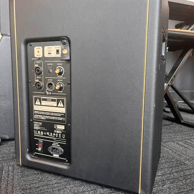 Positive Grid Spark Cabinet 2025 image 2