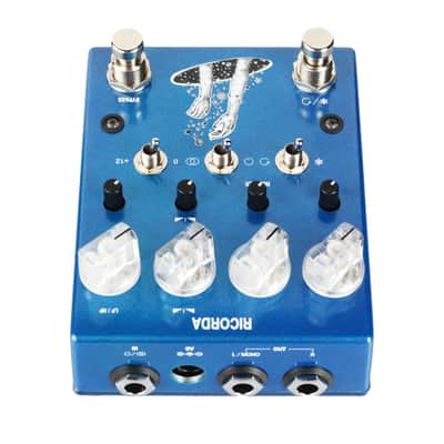 AC Noises Ricorda Stereo Granular Reverb Pedal image 5