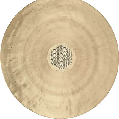 Meinl Wind Gong 12" Sonic Energy Flower Of Life With Beater WGFOL12 image 2