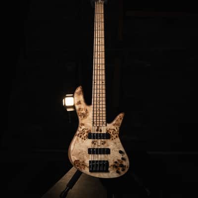 Fodera Emperor 5 Standard Special Poplar Burl 2023 image 3