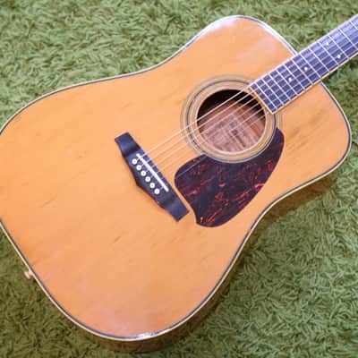 Vintage 1982 Ibanez NW-30 Acoustic Dreadnaught Guitar w/ SSC image 1
