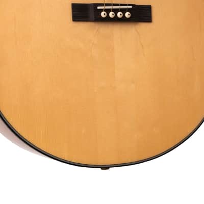 Gold Tone TG-18 Mastertone Tenor Guitar with Bag image 3