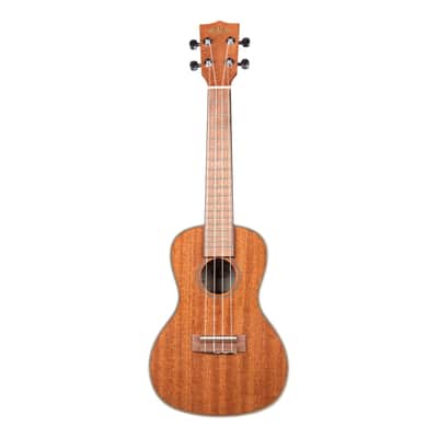 Kala KA-CG, Concert Ukulele - Gloss Mahogany image 5