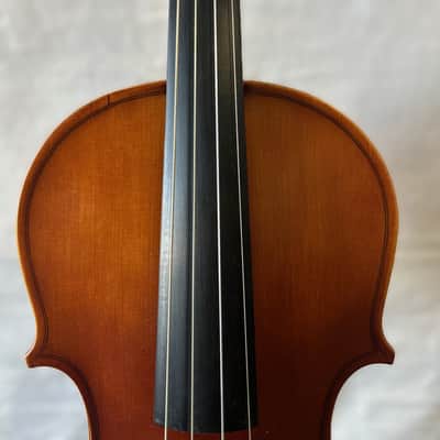 SofiaMari 310E 16 Viola image 7