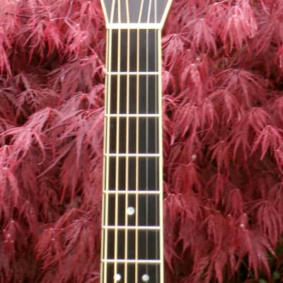 1977 Sada Yairi YD-305 Japan Vintage D35 Replica Acoustic Guitar  Natural+Deluxe Hard Case image 6