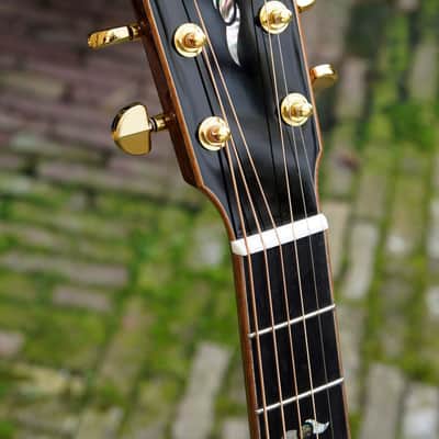 Eastman AC522CE-GB 2020 Gold Burst image 11