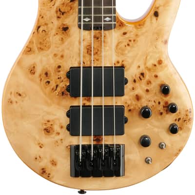 Michael Kelly Pinnacle 4 Electric Bass, Custom Burl, Open Box (Very Good) image 2