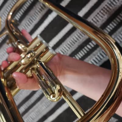 Blessing Artist Flugelhorn with Bach Mouthpiece and Dual Horn Case image 11