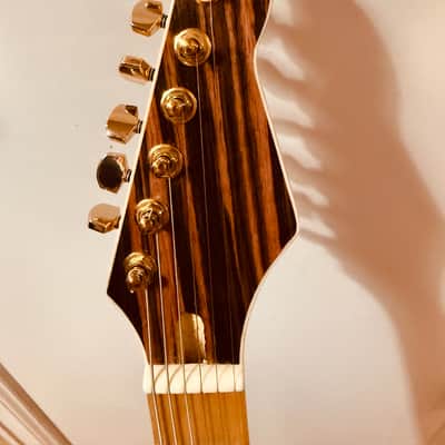 Donzilla ZebraWood Partscaster image 4