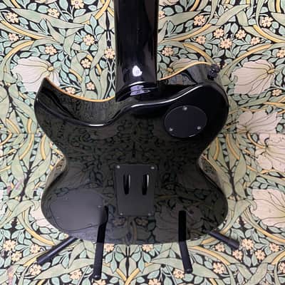 Washburn Idol WI-50V 2008 Bild 12