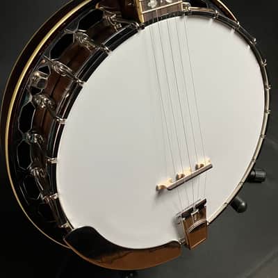 Recording King RK-R20 Songster 5-String Bluegrass Banjo image 5