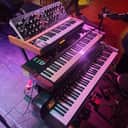 Behringer Poly D 4-Voice Polyphonic Synthesizer 2020 - Present - Black / Wood