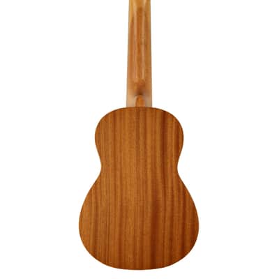 Kala LTP-S Learn to Play Mahogany Ukulele Starter Kit image 3