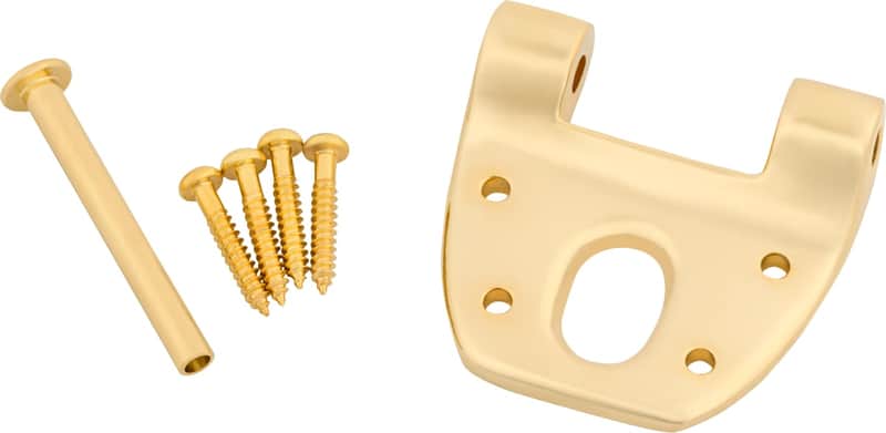 Bigsby Extra Short Hinge, w/ Hinge Pin and Screws, Gold, 180-0042-006 image 1