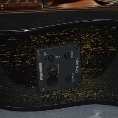 Breedlove Rainforest S Concert CE 2022 Black Gold image 10