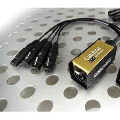 Whirlwind Catdusa CT-F Ethercon Cat5 Mini Audio Drop Snake to 4 Female XLR image 3