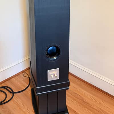 Tyler Acoustic D2X Mastering Studio Monitors image 7