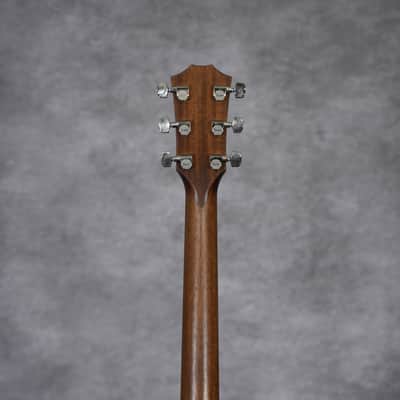 Immagine Taylor AD17e American Dream Grand Pacific 2020 - Present - Natural - 4