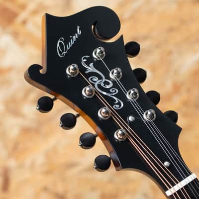 Quint QT-F5S image 8