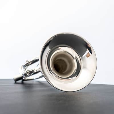 Yamaha YTR-8335IIGS Xeno Bb Trumpet with Gold Brass Bell (SN 5493xx) image 10