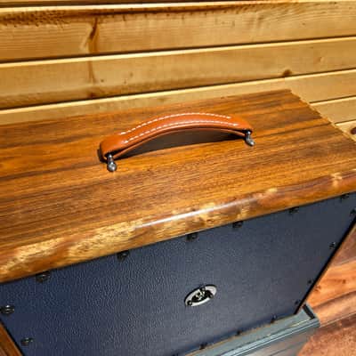 Sound Salvage Recycled Walnut Full-Range / Modeling 1x12 - Celestion Triple Cone Speaker 2026 - Walnut Laminate image 5
