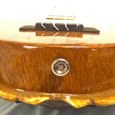 Turtle Shell Concert Ukulele image 8