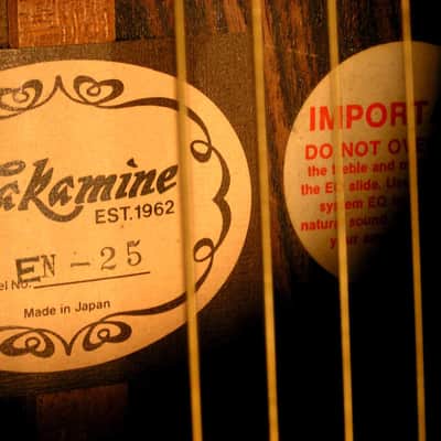 Takamine Super Jumbo Electro-acoustique EN-25 de 1982 image 8