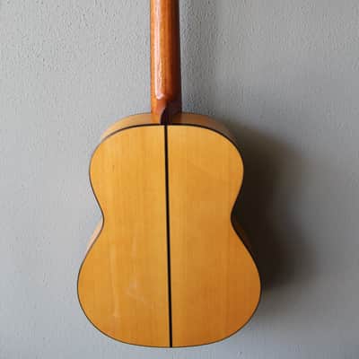 Brand New Cordoba F10 Flamenco Blanca Guitar image 7