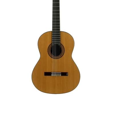 JOSE TORRES JTC-40 image 1