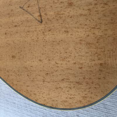 Spruce Top Resonator Guitar DIY Project, Rosewood Fretboard Neck image 5