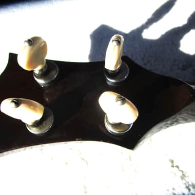 Gibson TB-00 Tenor Banjo, Early 1950's, One Piece Flange, Brass Tone Ring, Hang Tags, Case image 22