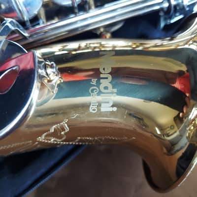 Cecilio Mendini HMAS-LN alto saxophone Brass image 3