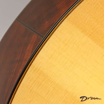 2008 Traugott BK Cutaway, Brazilian Rosewood/German Spruce image 13