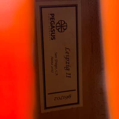 Pegasus Leipzig II 2017 image 7