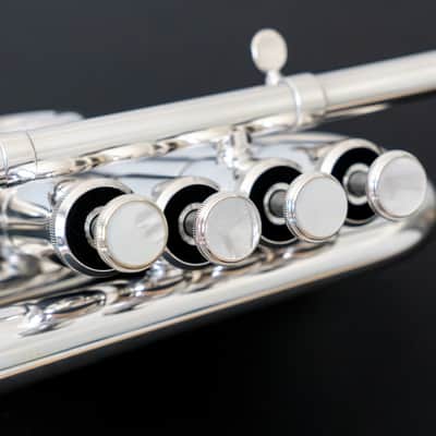 Yamaha YTR-6810S Bb/A Piccolo Trumpet (SN D969xx) image 6