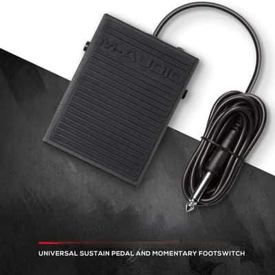 Sustain Pedal for MIDI Keyboards, Digital Pianos & Synthesizers – Compact Piano-Style Foot Pedal image 8