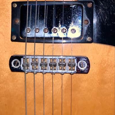 Vantage Electric hollow body Jazz Box 670 n natural electric guitar image 4