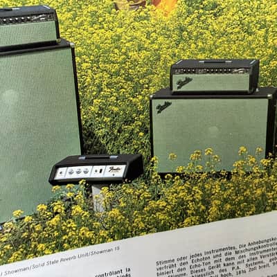 Rare 1968 Fender Catalog Export Edition Case Candy image 11