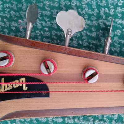 Immagine Gibson Thunderbird IV 1964 - Natural - 7