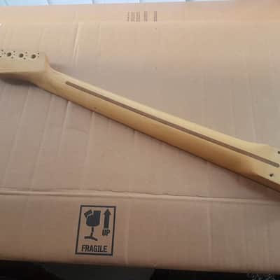 1969 Fender Telecaster Maple Neck USA - Big Profile image 10