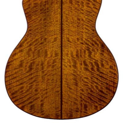 Bromo BAN 2CE Solid Top Grand Auditorium Cutaway Guitar image 5