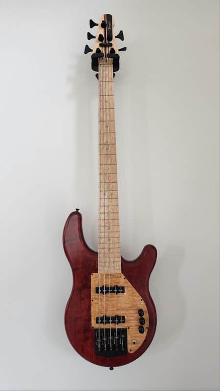 Tensor custom bass Classic series 5-string dual-pickup image 1